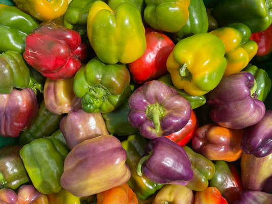 Eureka Organic Farm CSA Week 11 Newsletter, 9/3 and 9/6