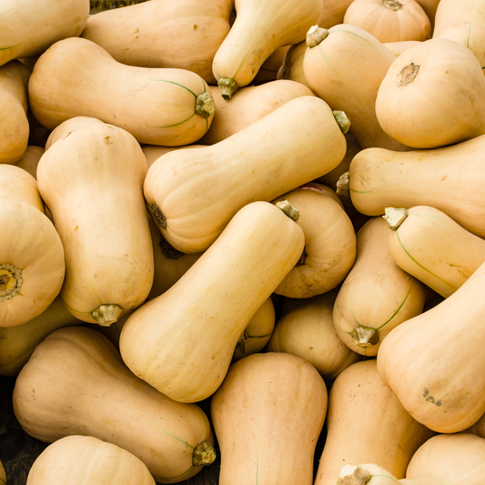 Butternut Squash