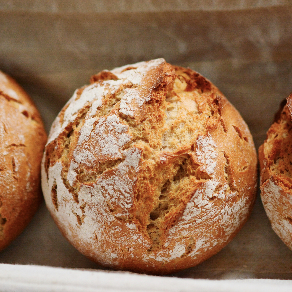 Whole Wheat Hearth Round