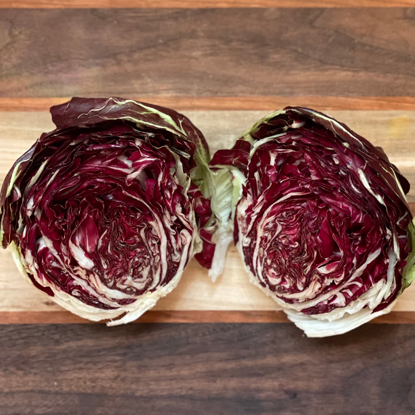 Radicchio