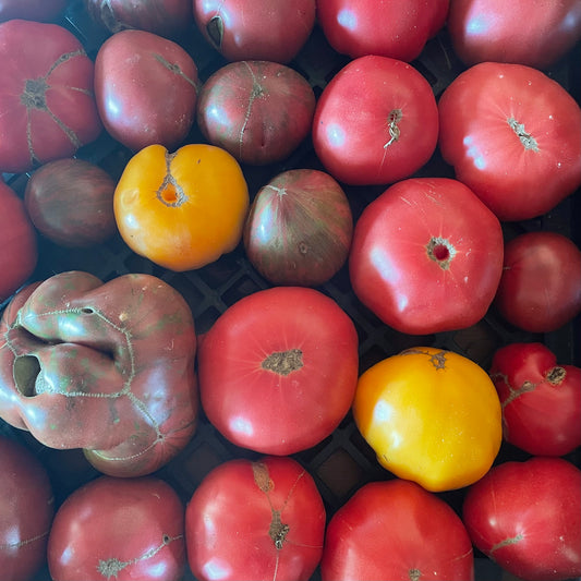 Heirloom tomatoes