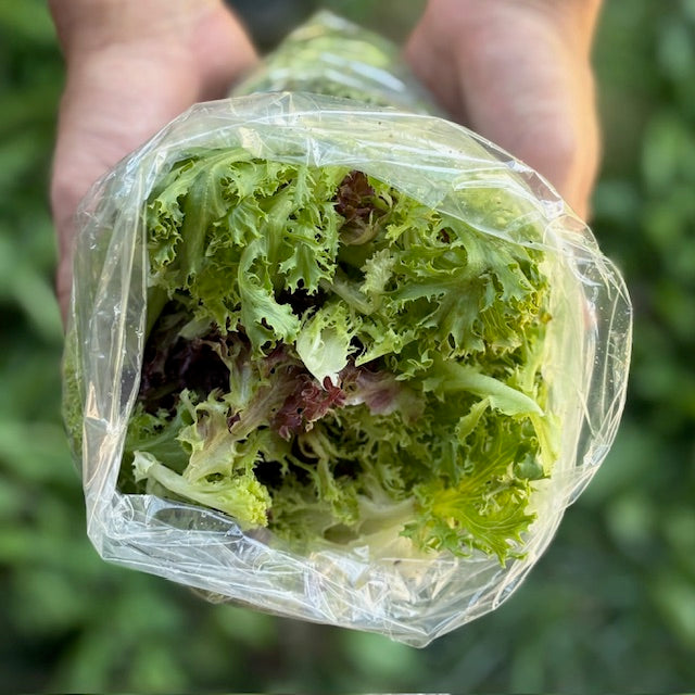 Lettuce Mix