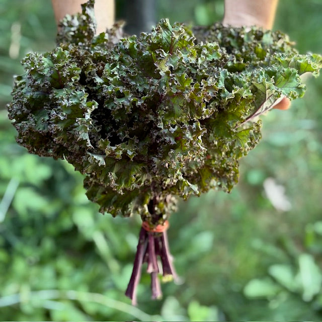 Kale