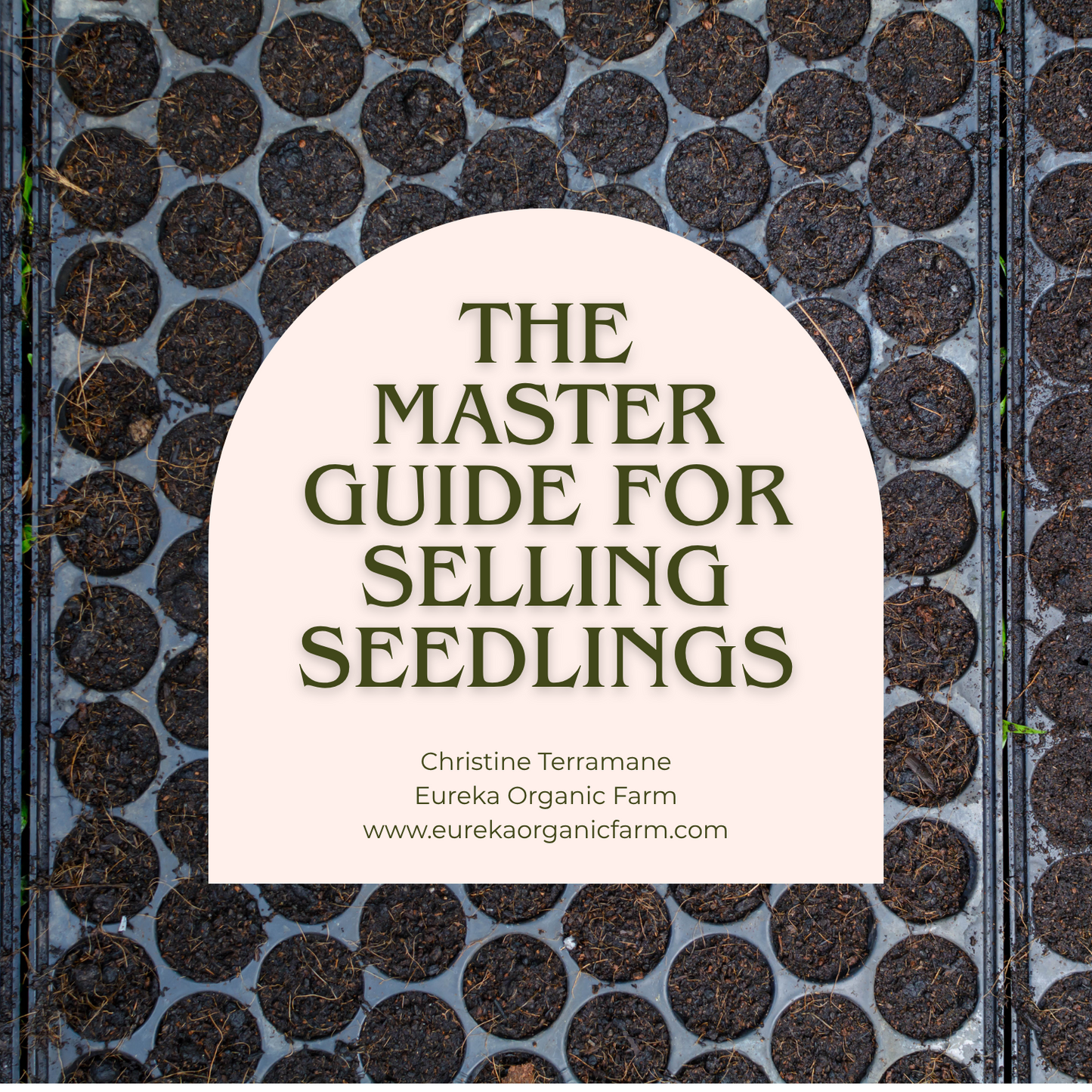 The Master Guide for Selling Seedlings