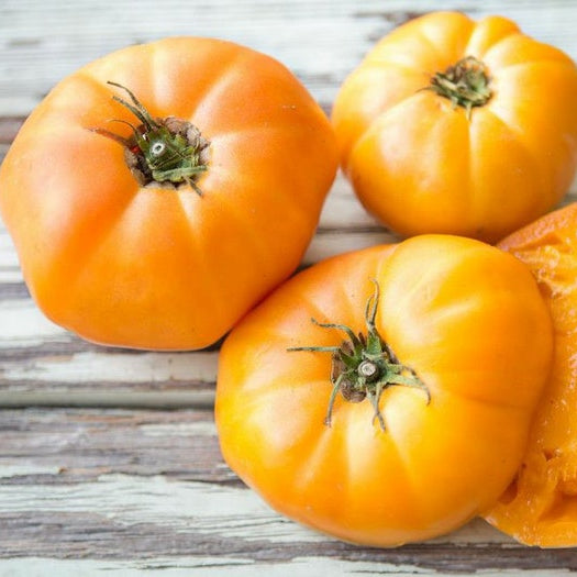 Tomato: Goldie 4" Pot