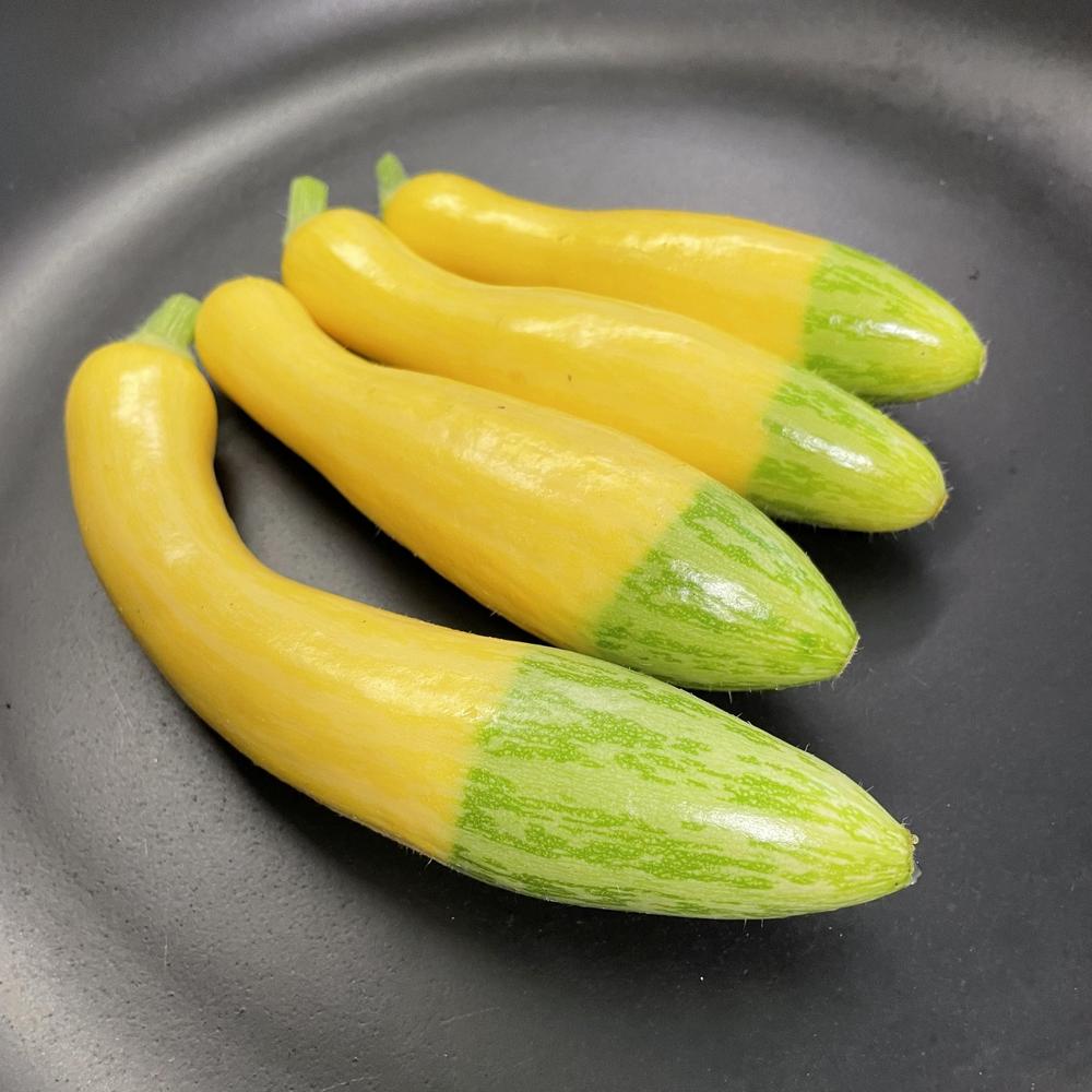 Zephyr Summer Squash
