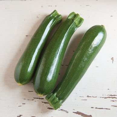Zucchini: Dunja 4" Pot