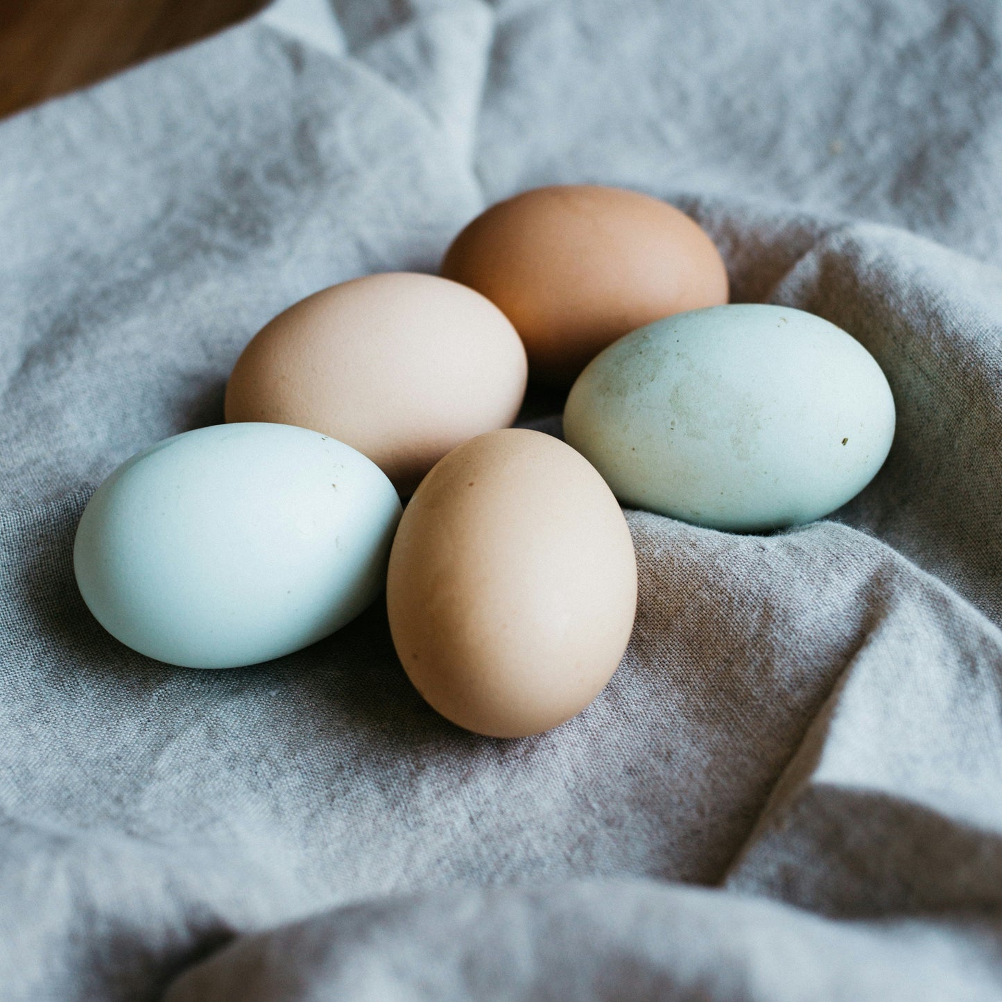 Eggs by the dozen
