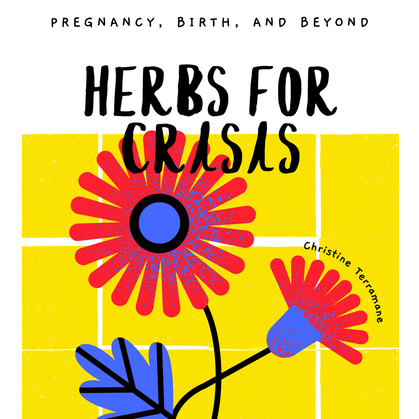 Herbs for Crisis: Pregnancy, Birth, and Beyond digital zine