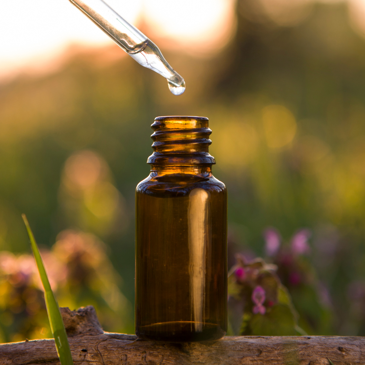Flower Essence Remedy