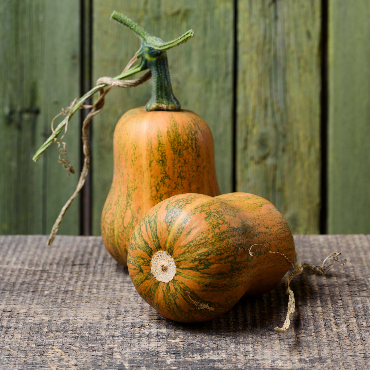 Honeynut Squash