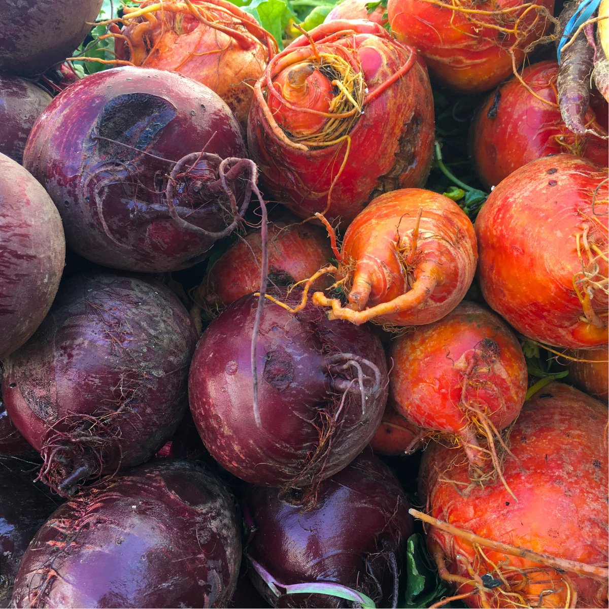 Beets: 4-pack