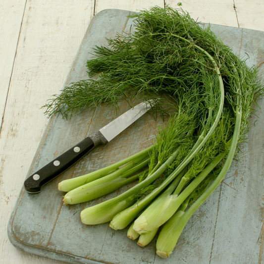 Baby Fennel