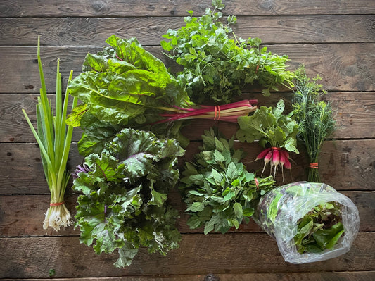 Eureka Organic Farm CSA Week 1 Newsletter, 6/24 and 6/27