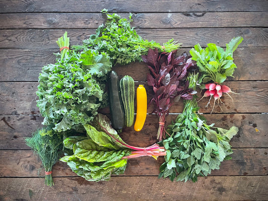 Eureka Organic Farm CSA Week 2 Newsletter, 7/1 and 7/4 - All shares!