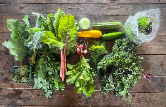 Eureka Organic Farm Week 3 CSA Newsletter, 7/8 and 7/11