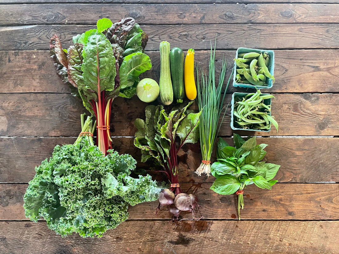 Eureka Organic Farm Week 4 CSA Newsletter, 7/15 and 7/18