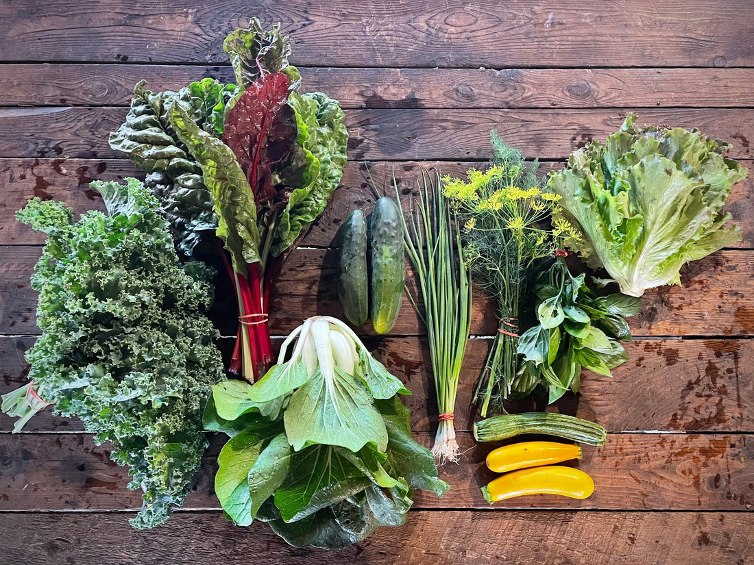 Eureka Organic Farm Week 5 CSA Newsletter, 7/22 and 7/25