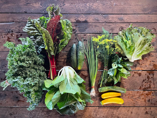 Eureka Organic Farm Week 5 CSA Newsletter, 7/22 and 7/25