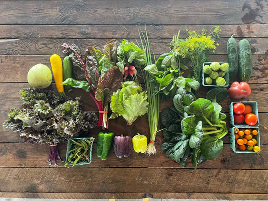 Eureka Organic Farm Week 6 CSA Newsletter, 7/29 and 8/1