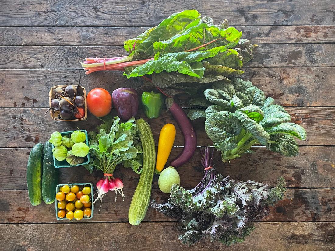 Eureka Organic Farm Week 7 CSA Newsletter, 8/5 and 8/8