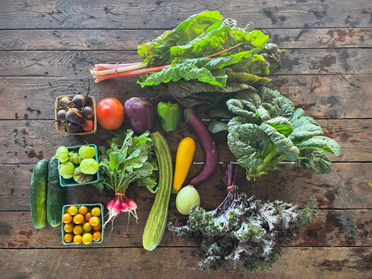 Eureka Organic Farm Week 7 CSA Newsletter, 8/5 and 8/8