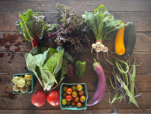 Eureka Organic Farm Week 8 CSA Newsletter, 8/12 and 8/15