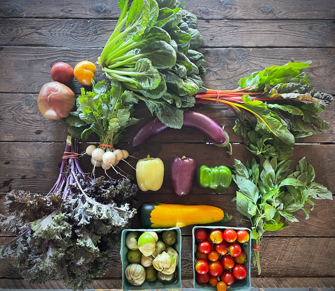 Eureka Organic Farm Week 9 CSA Newsletter, 8/19 and 8/22