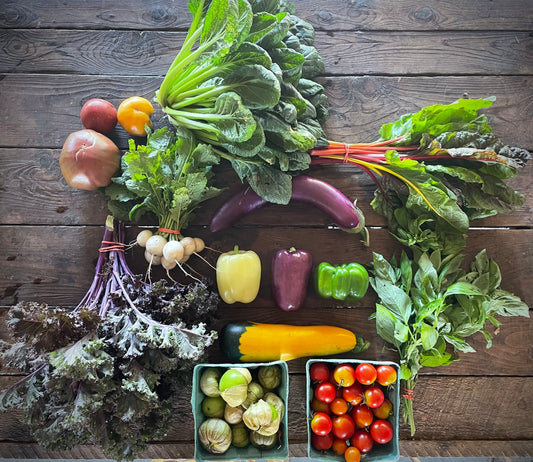 Eureka Organic Farm Week 9 CSA Newsletter, 8/19 and 8/22