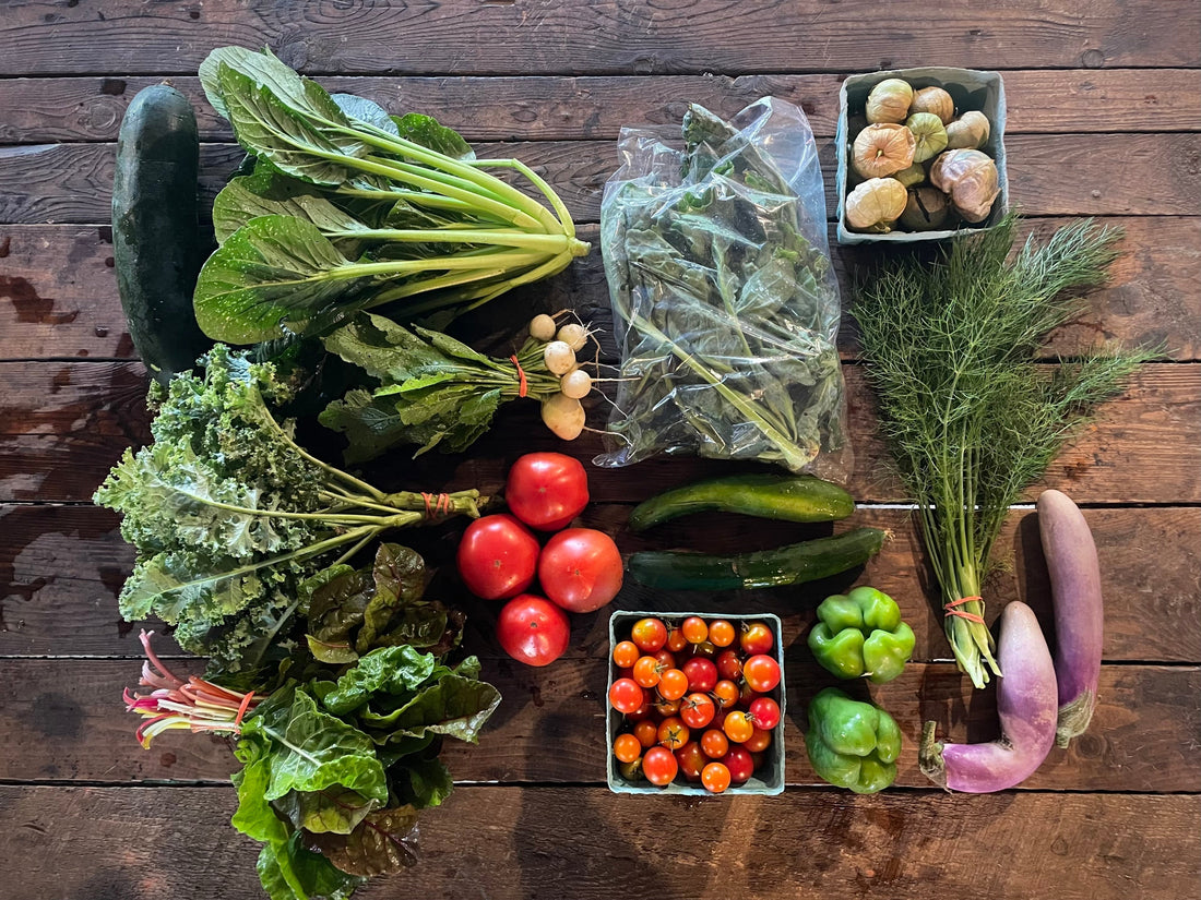 TWO PICKUPS LEFT! Eureka Organic Farm Week 11 CSA Newsletter, 9/2 and 9/5