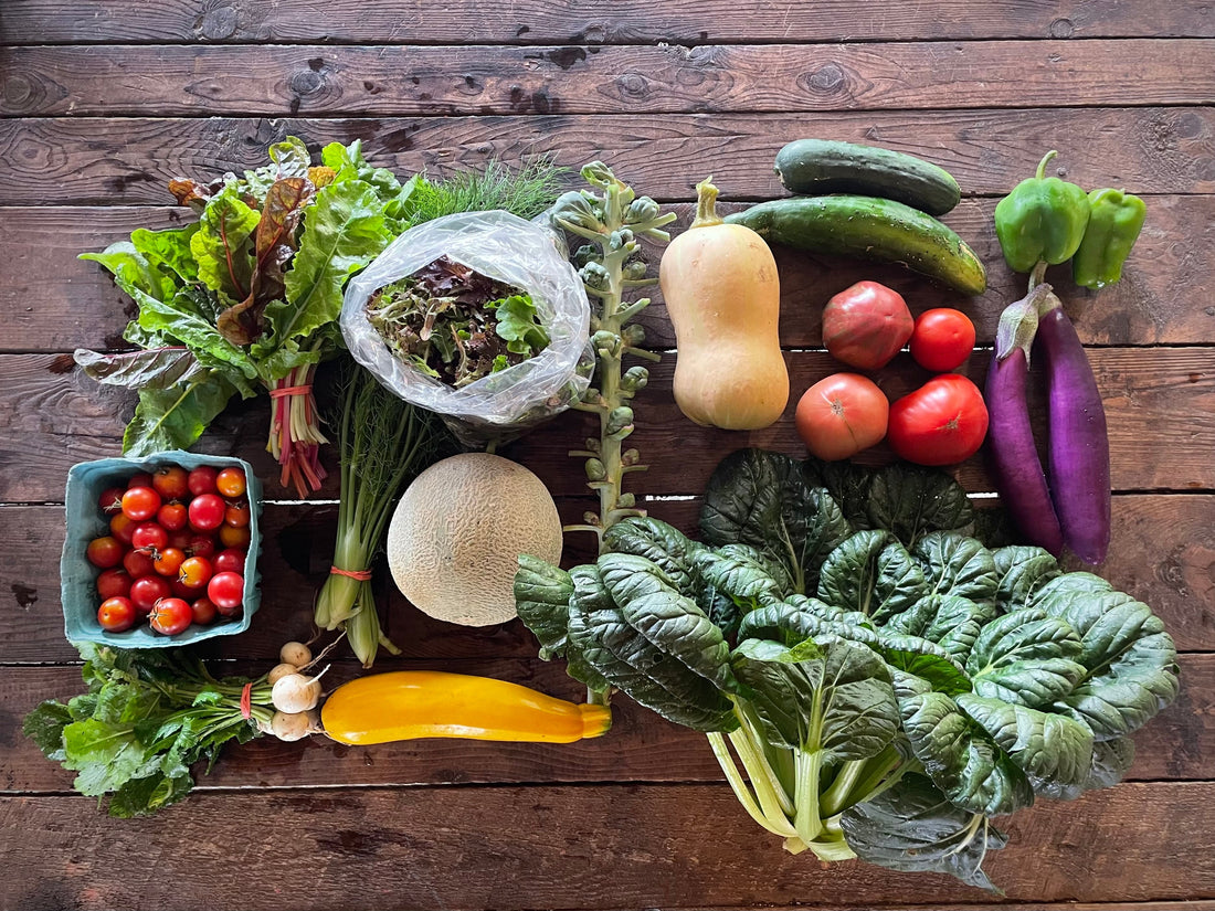 FINAL PICKUP! Eureka Organic Farm Week 12 CSA Newsletter, 9/9 and 9/12