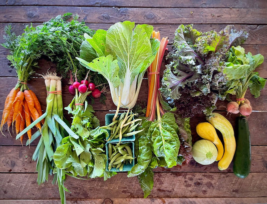 Eureka Organic Farm CSA Week 5 Newsletter, 7/23 and 7/26