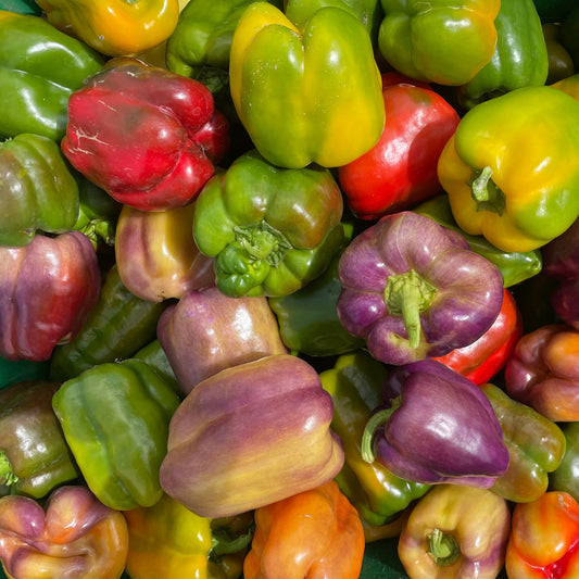 Bell Peppers
