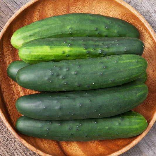 Cucumber: Marketmore 4" Pot