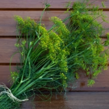 Bunch of green herbs against a wooden background
