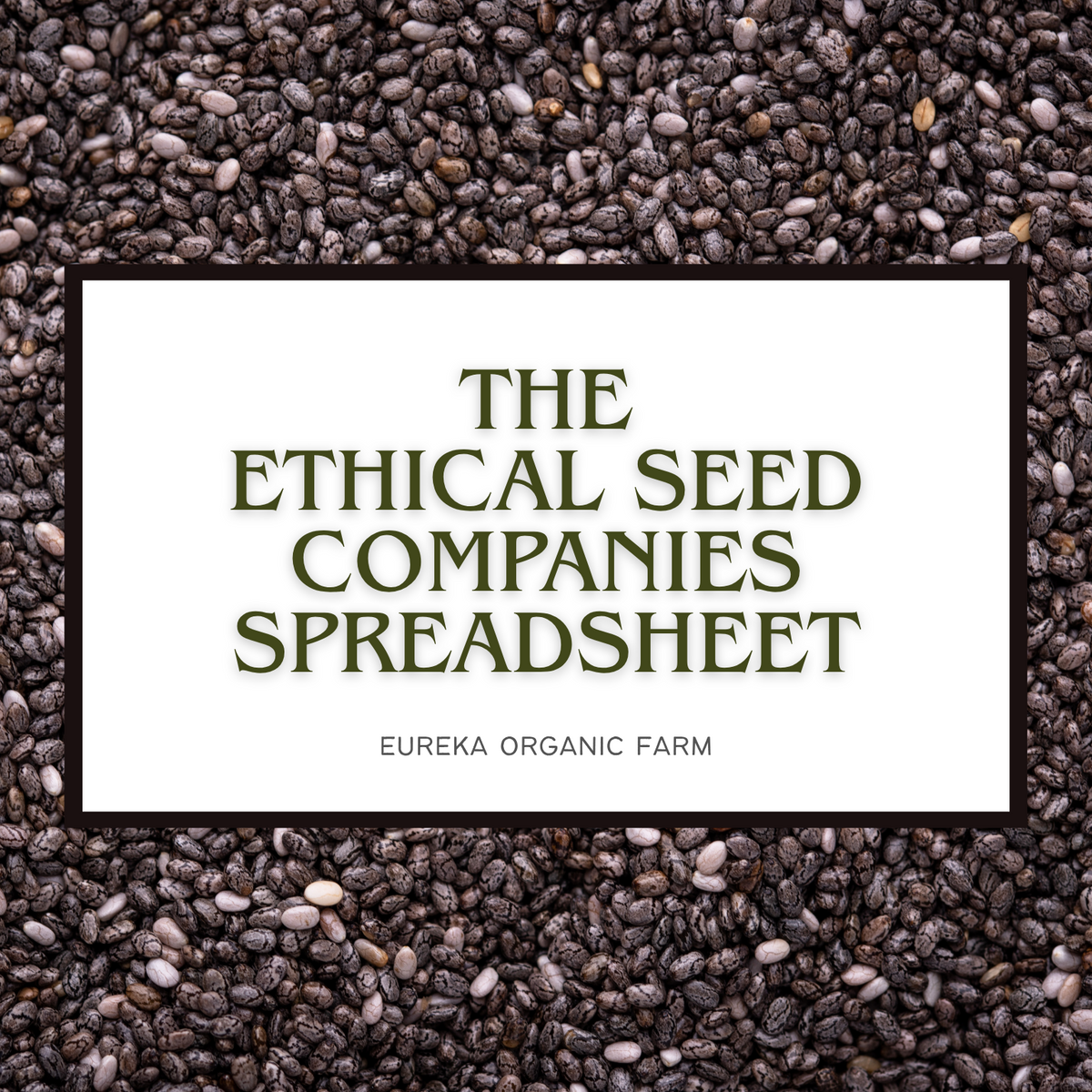 Ethical Seed Companies Spreadsheet