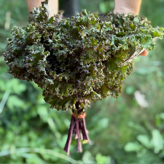 Kale