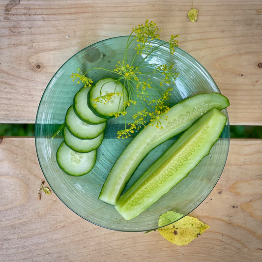Half Sour Pickles
