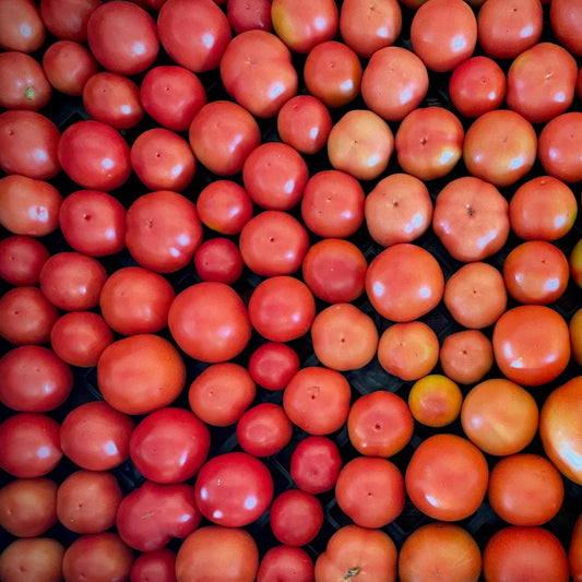 Canning Tomatoes in bulk