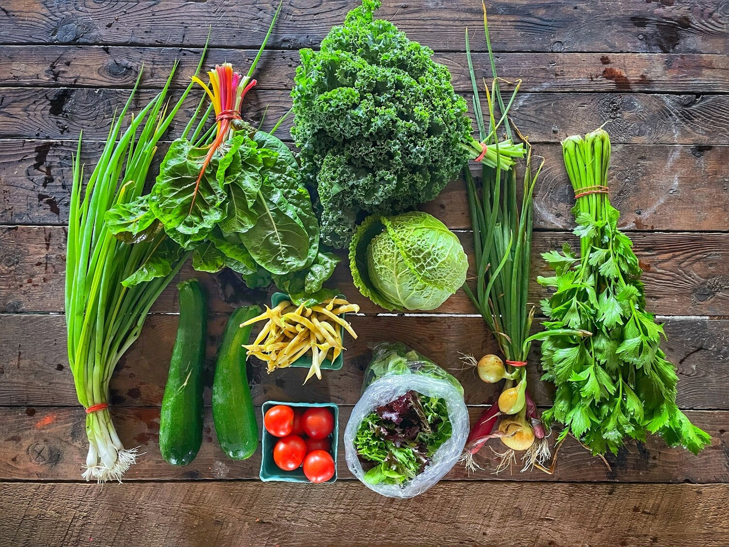 Summer Veggie Visionary Large Share