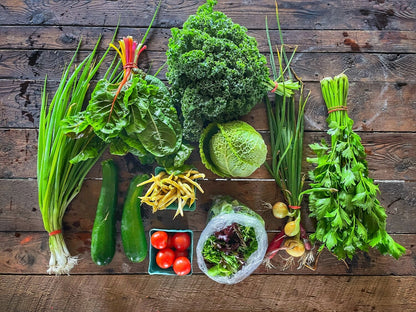 Summer Veggie Visionary Large Share