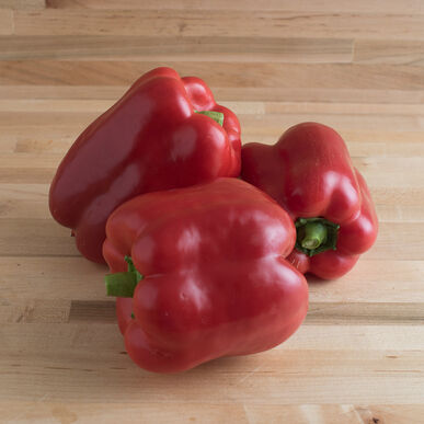Pepper: Yankee Bell 4" Pot