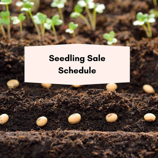 Seedling Sale Schedule