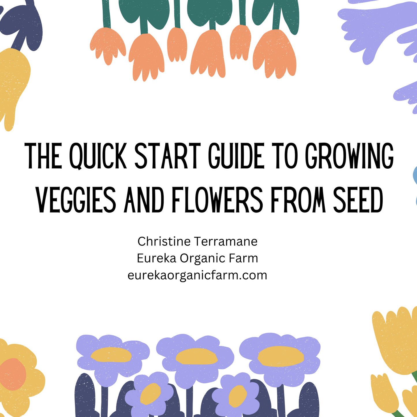 The Quick Start Guide for Growing Veggies and Flowers from Seed (a digital primer)