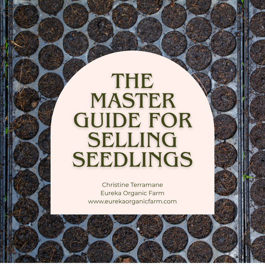The Master Guide for Selling Seedlings