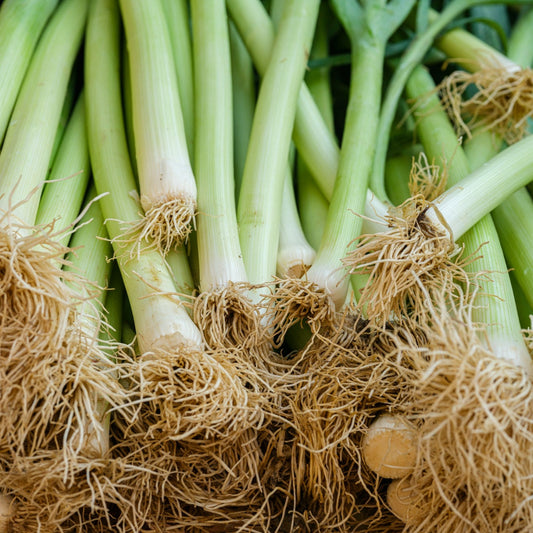 Leeks