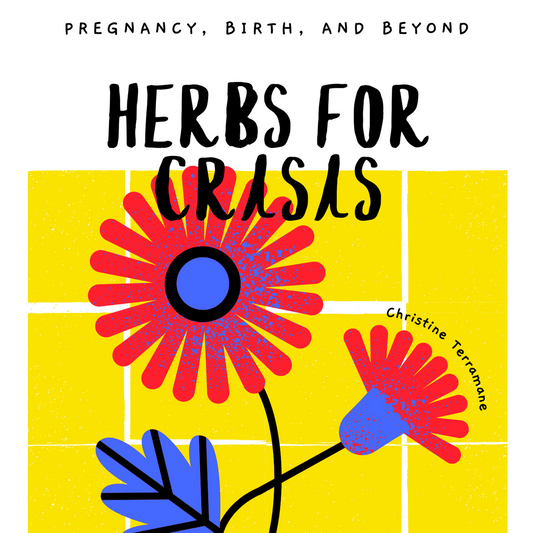 Herbs for Crisis: Pregnancy, Birth, and Beyond digital zine