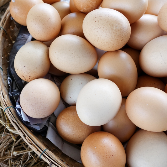 Eggs