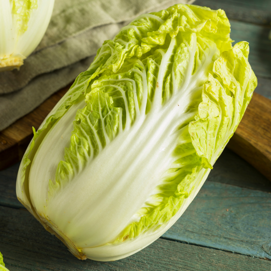 Napa Cabbage